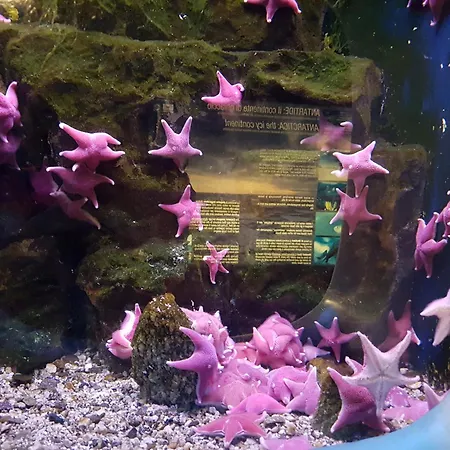 Da Lilli - Un Angolo Di Paradiso Nel Apartament Uscio