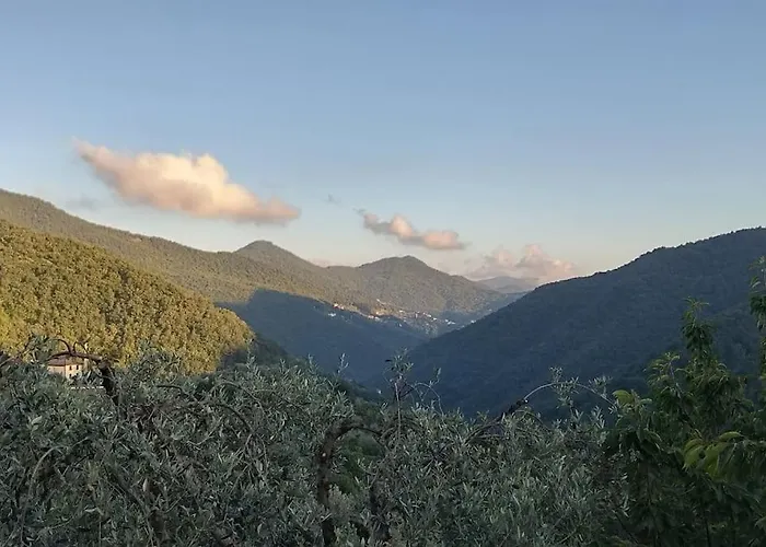 Da Lilli - Un Angolo Di Paradiso Nel 아파트 *