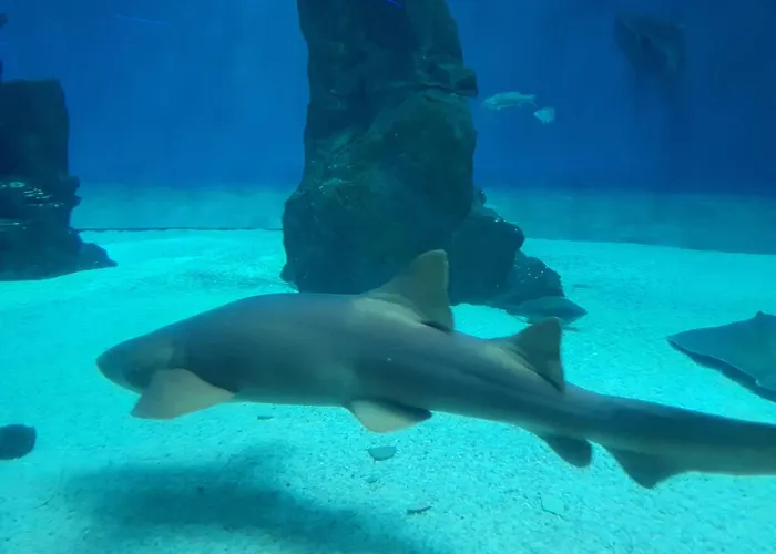 Da Lilli - Un Angolo Di Paradiso Nel 아파트