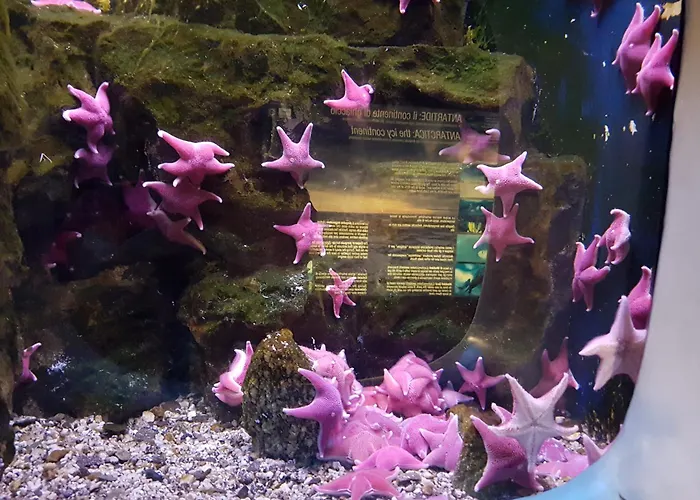 Da Lilli - Un Angolo Di Paradiso Nel 아파트 우스키오