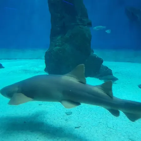 Da Lilli - Un Angolo Di Paradiso Nel Apartment